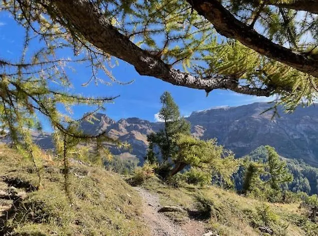 アパート Marmotta 13